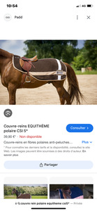 couvre rein Equi thème csi5*