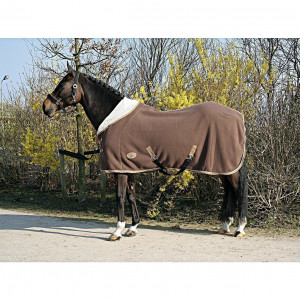 Couverture polaire highneck