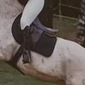 Selle Forestier Pierre Durand