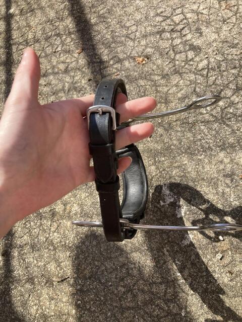 Hackamore