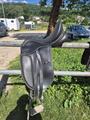 Selle de dressage