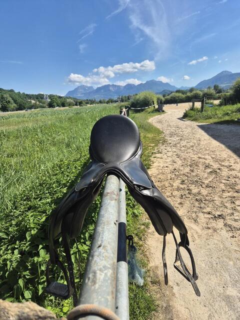 Selle de dressage