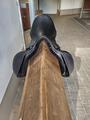 Selle dressage prestige