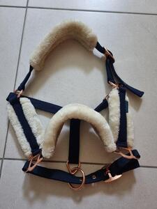 Licol Mouton Marine et gold