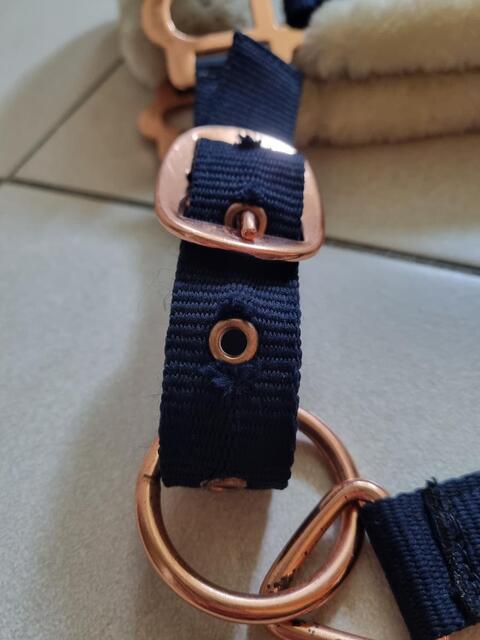 Licol Mouton Marine et gold