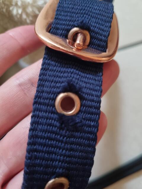 Licol Mouton Marine et gold