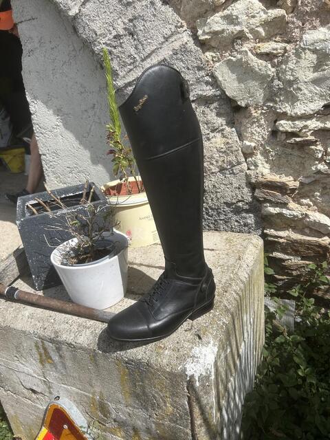 Bottes Sergio Grasso Evolution T37