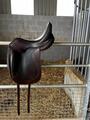 Selle dressage signature antares