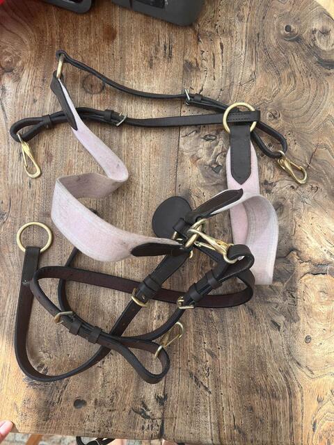 collier de chasse martingale