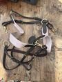 collier de chasse martingale