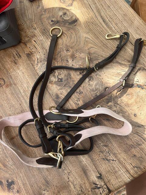 collier de chasse martingale