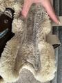 Guetre Veredus Carbon Gel Vento Save The Sheep