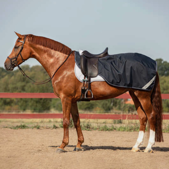 Couvre reins Horseware marine