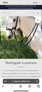 Martingale Antares