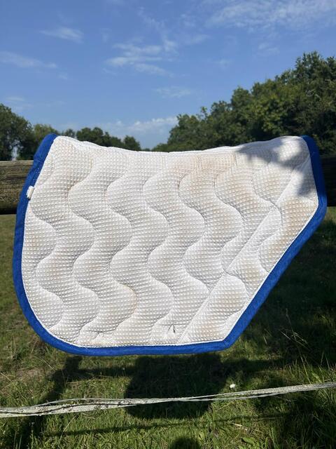 tapis paddock bleu