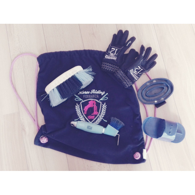 LOT DE BROSSES+SAC+GANTS
