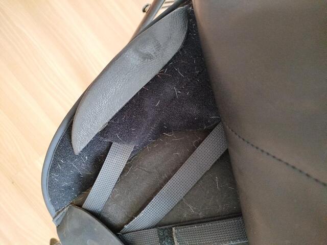 Selle dressage Wintec Isabell 16'5 cair
