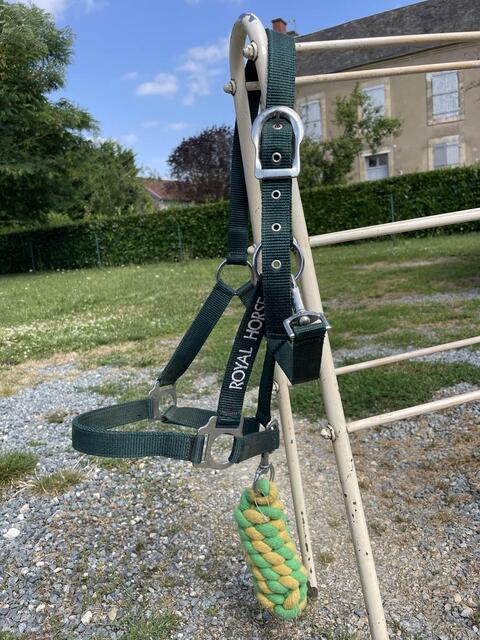 Ensemble licol+longe royal horse