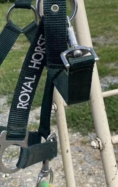 Ensemble licol+longe royal horse