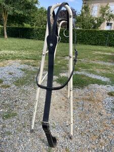 Martingale Canter noir