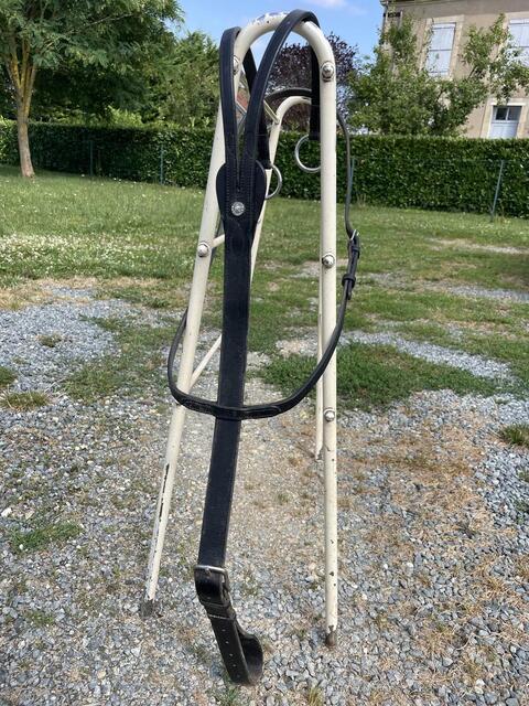 Martingale Canter noir