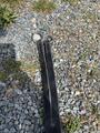 Collier de chasse taille cheval norton