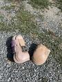 Ensemble protection vieux rose norton taille poney