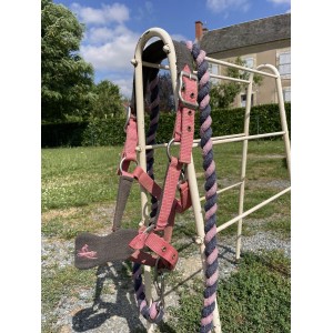 Ensemble licol+longe équithème poney