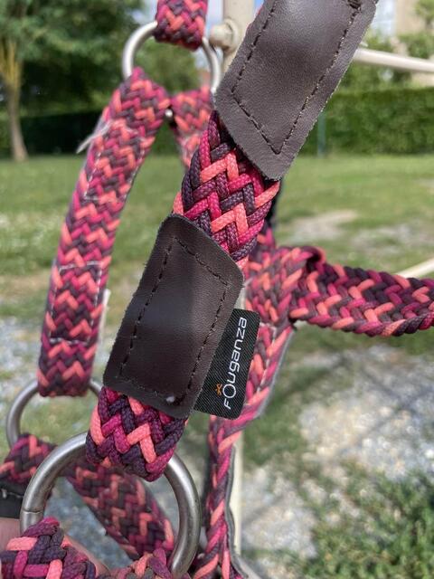 Ensemble licol+longe Fouganza rose poney