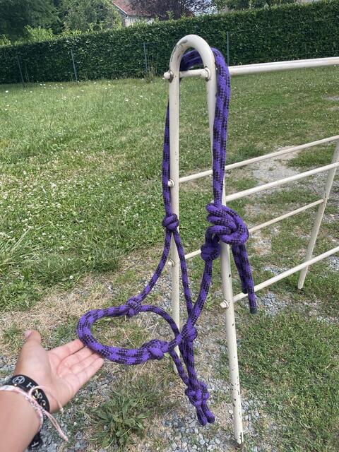 Licol éthologique violet et noir COB