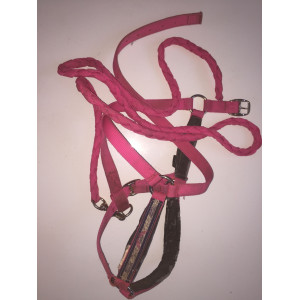 Licol et longe rose