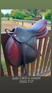 Selle CWD SE02 17,5"