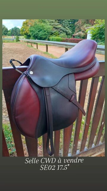 Selle CWD SE02 17,5"