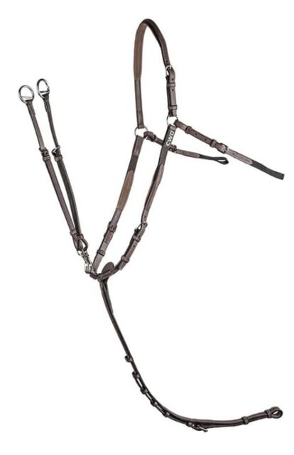 Collier de chasse CWD