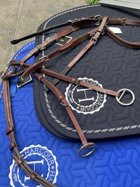 Collier de chasse CWD