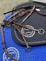 Collier de chasse CWD