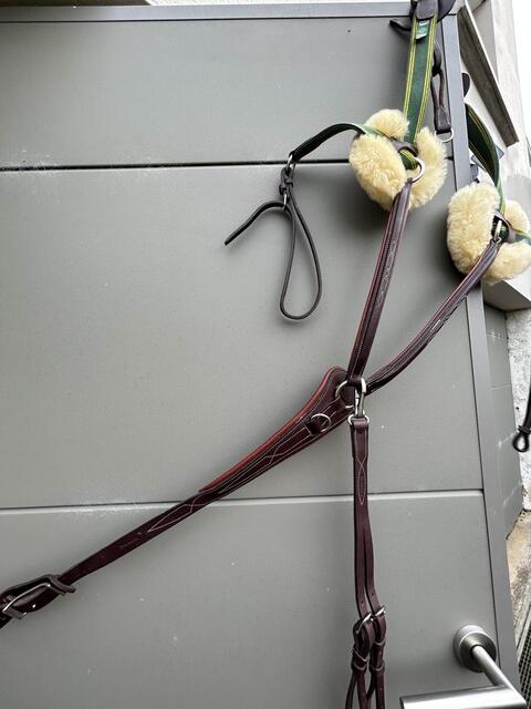 collier de chasse martingale