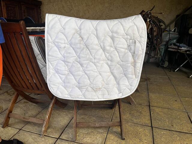 tapis blanc dressage