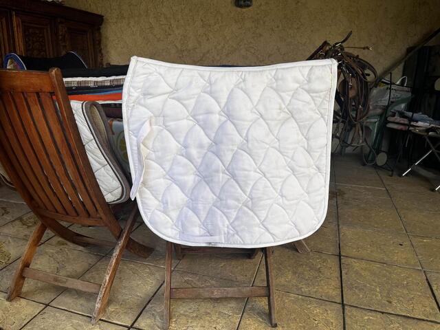 tapis blanc dressage