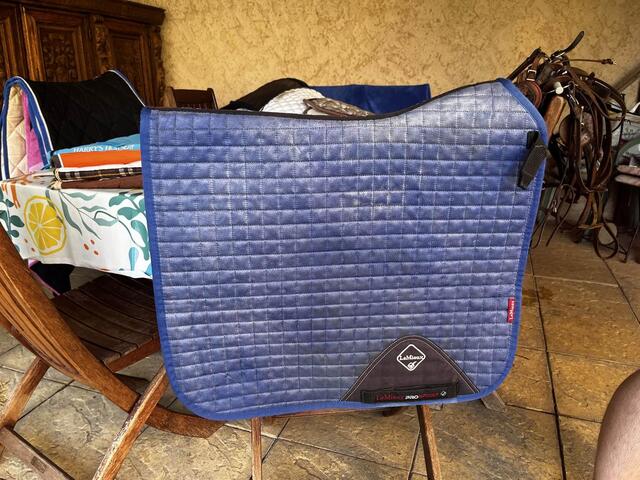 tapis Lemieux dressage