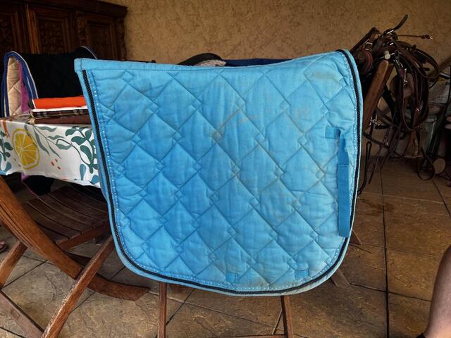tapis dressage