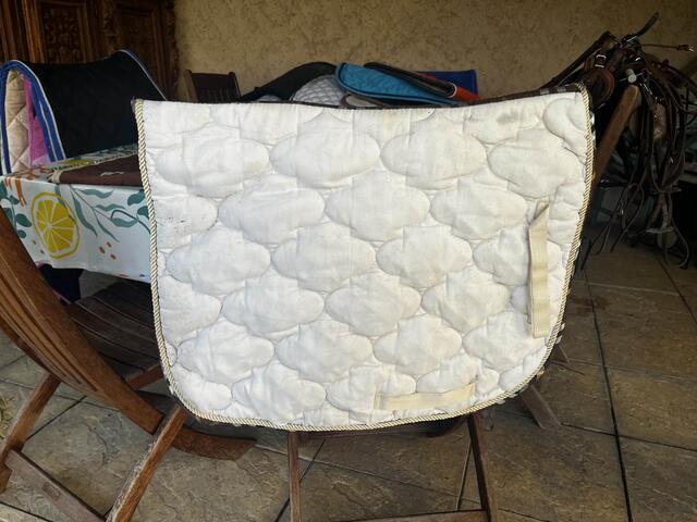tapis dressage