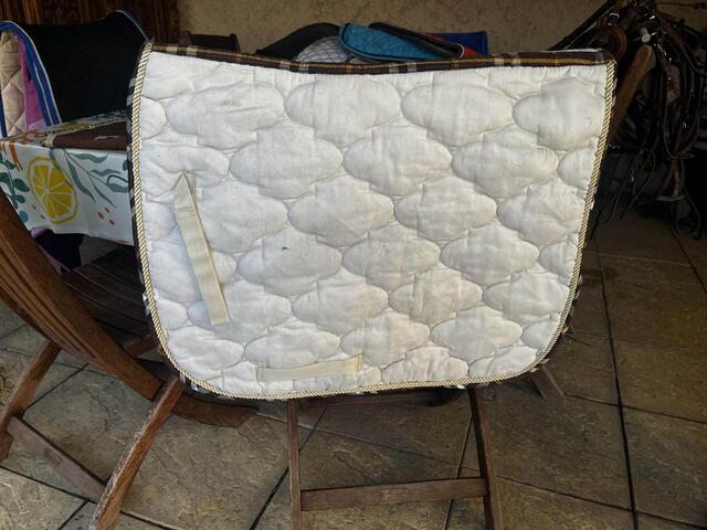 tapis dressage