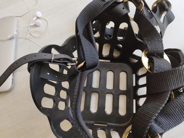 Licol et panier greenguard avec protection