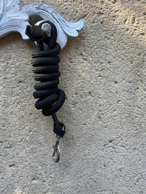 longe smart wag