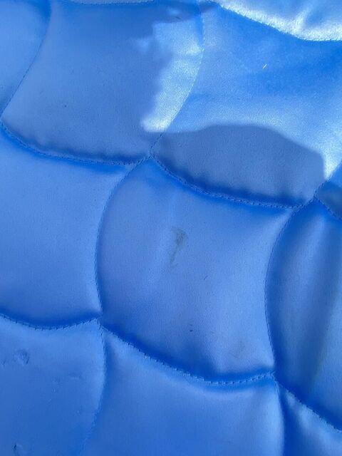 Tapis bleu