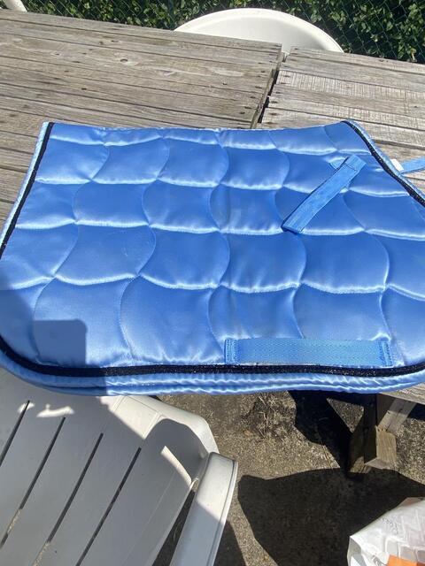 Tapis bleu