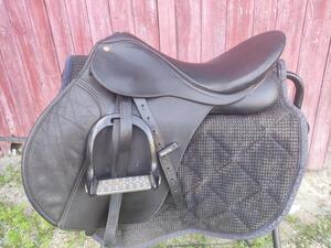 Selle wintec 250
