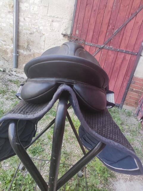 Selle wintec 250