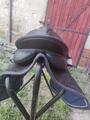 Selle wintec 250